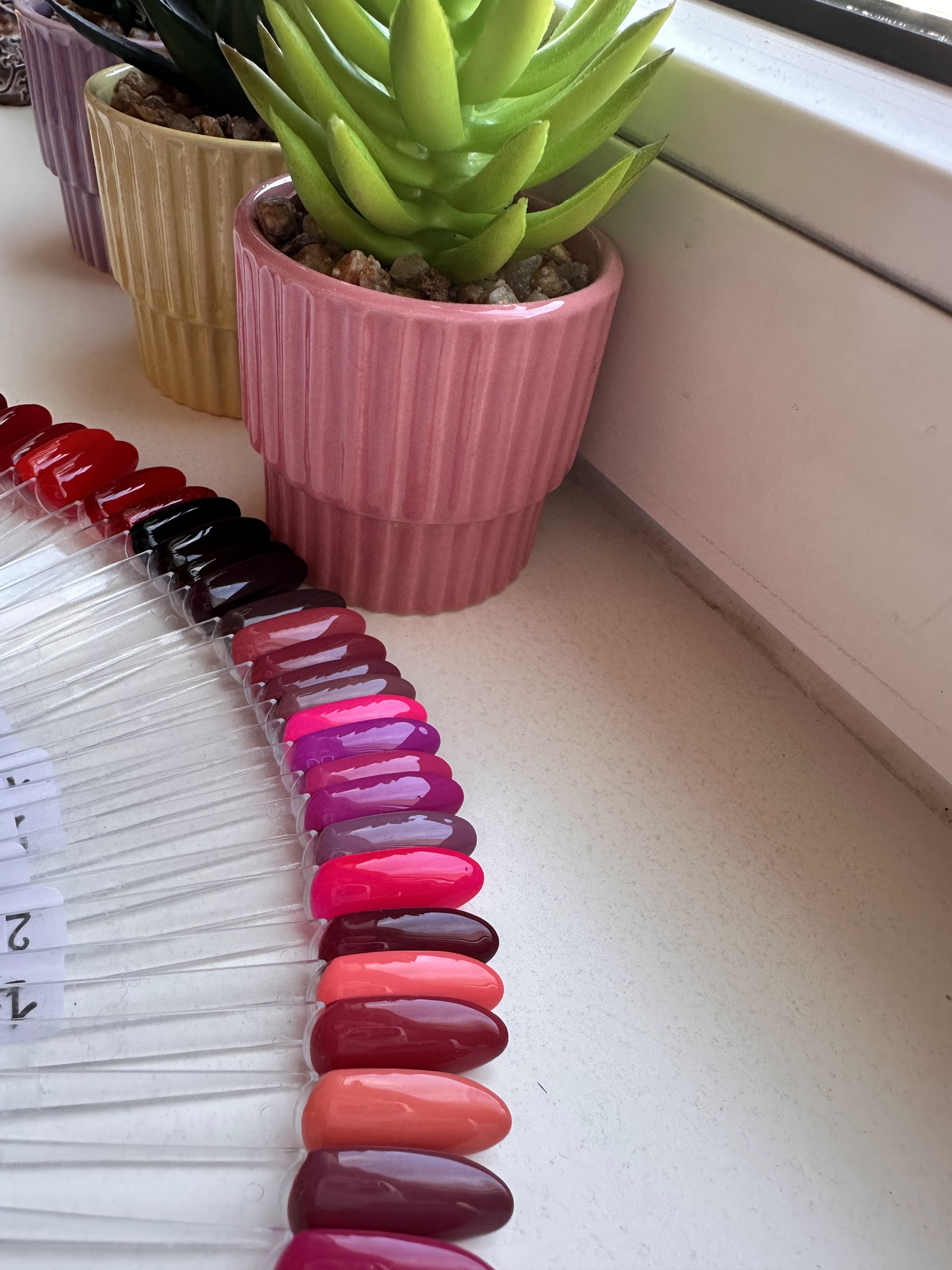 Kleurenwaaier met gellak in rood, roze en paars bij een plantje op de vensterbank van de studio